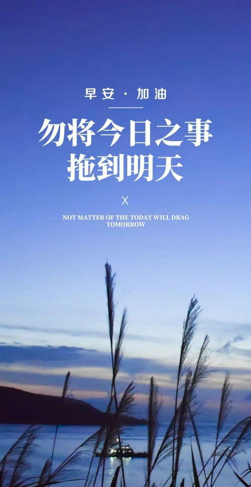 2021年元旦發(fā)朋友圈的句子,2021牛年發(fā)朋友圈的句子,2021年適合發(fā)朋友圈的句子