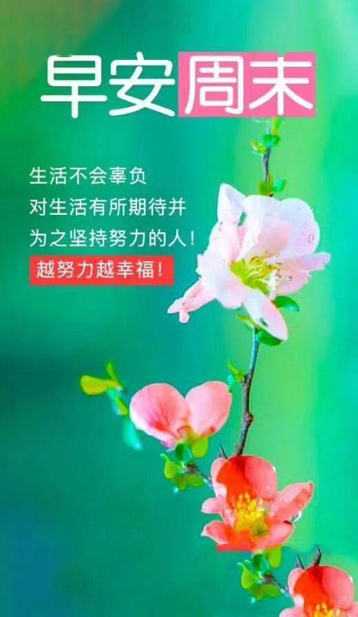 句子,語(yǔ)錄,能量,健康