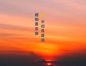 生活不易的正能量句子,對生活充滿(mǎn)正能量的句子,對待生活正能量的句子