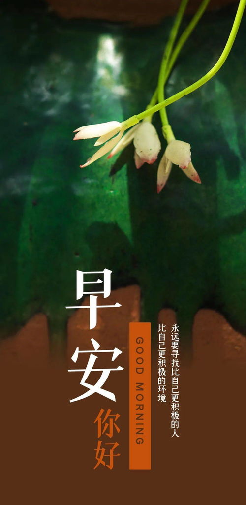 天冷了正能量的句子經(jīng)典語(yǔ)句