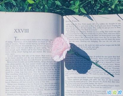 中考正能量的句子經(jīng)典語(yǔ)句,中考積極向上正能量的句子,中考拼搏努力正能量的句子