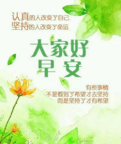 早安,句子,能量,學(xué)習
