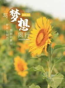 正能量感悟的經(jīng)典句子,人生感悟正能量的經(jīng)典句子,正能量的句子經(jīng)典語(yǔ)句
