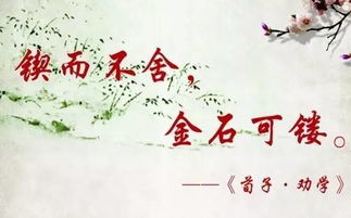 句子,詞語(yǔ),能量