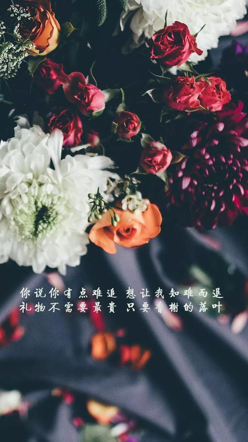 簡短,句子,能量,清新