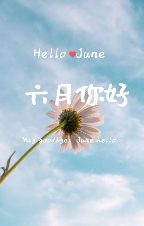 新的六月開始正能量句子