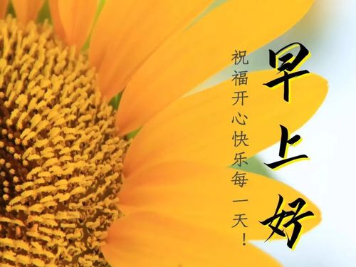 新的一天早安正能量句子