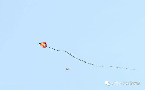 鼓勵積極向上正能量的句子