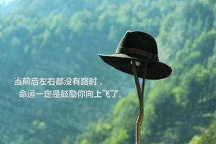 人生哲理正能量的句子說(shuō)說(shuō)心情