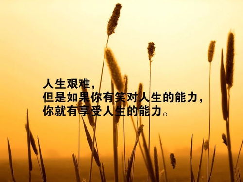 人心,句子,挫折,激勵