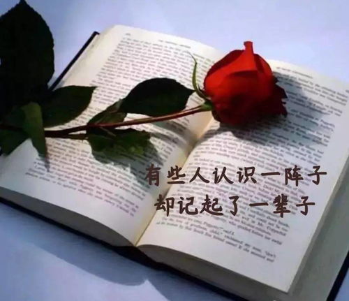 句子,能量,經(jīng)典,愛(ài)情