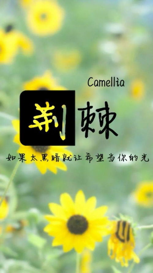 周一正能量句子短語(yǔ)