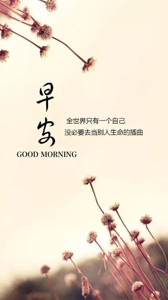 早安正能量的發(fā)圈語(yǔ),2021早安心語(yǔ)正能量,早安正能量簡(jiǎn)單句子發(fā)圈