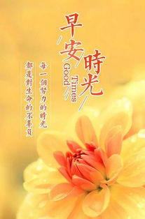早安勵志心情正能量的句子說(shuō)說(shuō)心情短語(yǔ)