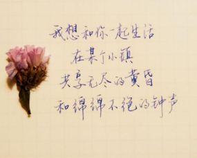 簡(jiǎn)短,句子,能量,失落