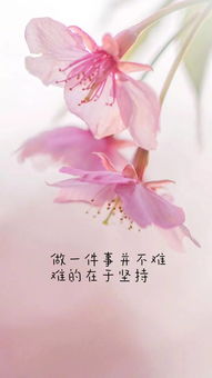 精辟,犀利,句子,能量