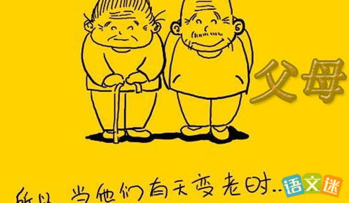 孝敬,句子,能量,老人