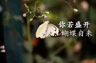社會(huì )正能量的名言句子
