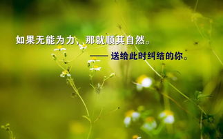 句子,能量,xuexi