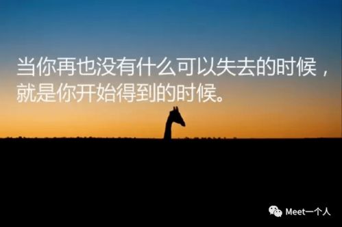能量,句子,勵志,語(yǔ)錄