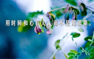 堅持工作勵志的句子正能量