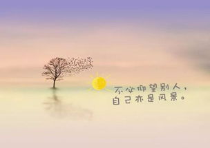 游泳正能量的句子短句,積極向上正能量的句子短句,陽(yáng)光心態(tài)正能量的句子短句