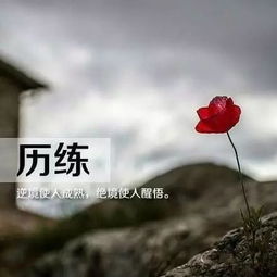 微商正能量的句子早安語(yǔ)錄經(jīng)典語(yǔ)錄