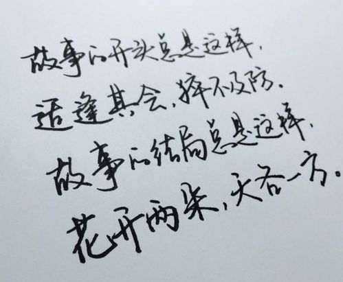 詩(shī)經(jīng),積極向上,句子,能量