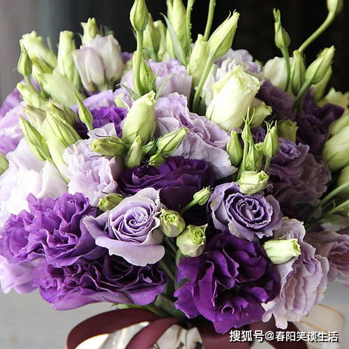 發(fā)抖音煮茶正能量唯美句子