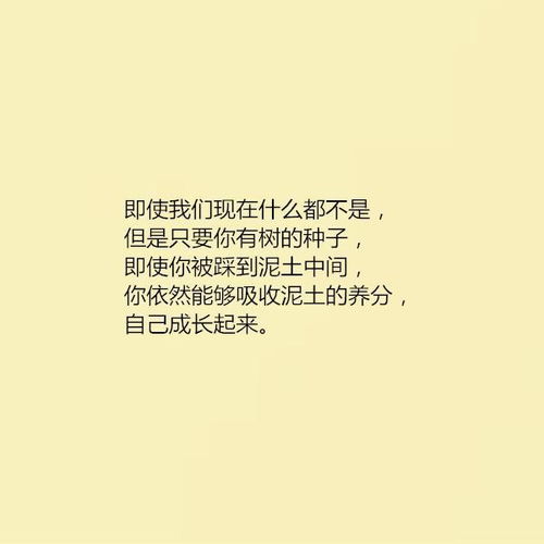 關(guān)于堅持的正能量句子段落,正能量的句子經(jīng)典段落,正能量句子勵志段落