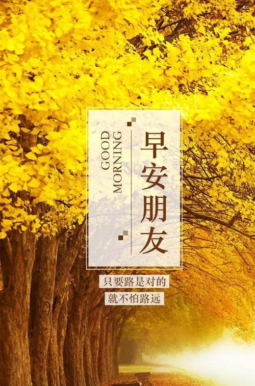 熱愛(ài)祖國(guó)正能量的句子,陽(yáng)光正能量的句子,晚安正能量句子