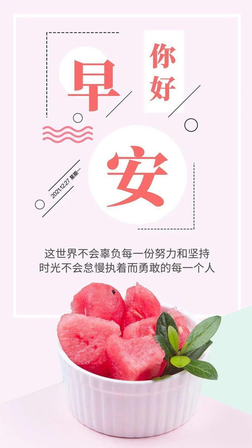 句子,能量,回報,努力