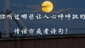 適合銷(xiāo)售員工正能量的句子