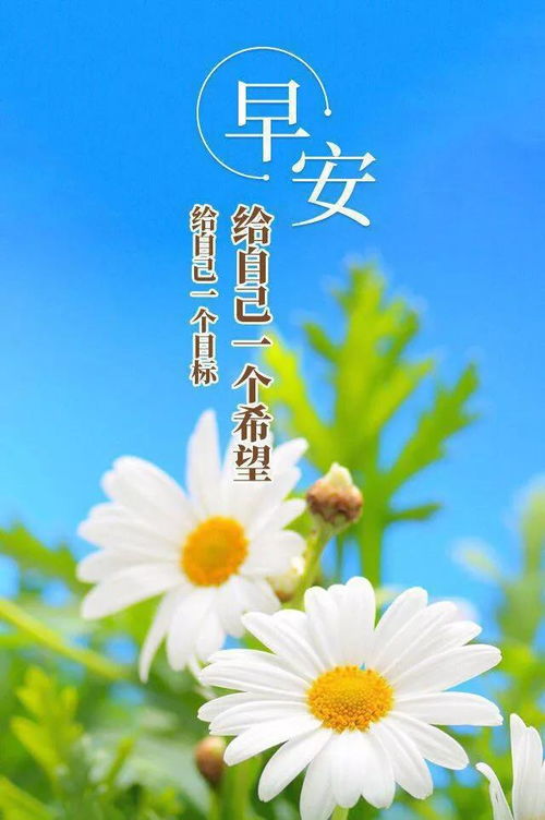 給予幫助正能量句子