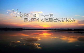 句子,能量,減肥