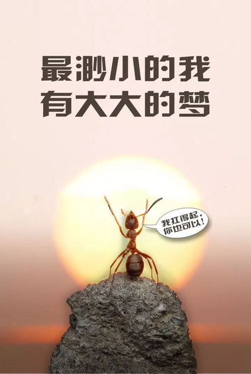 勵志正能量的句子簡(jiǎn)短