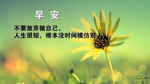 積極向上,句子,能量