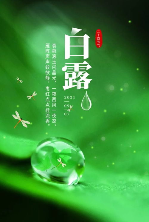 句子,能量,陽(yáng)光