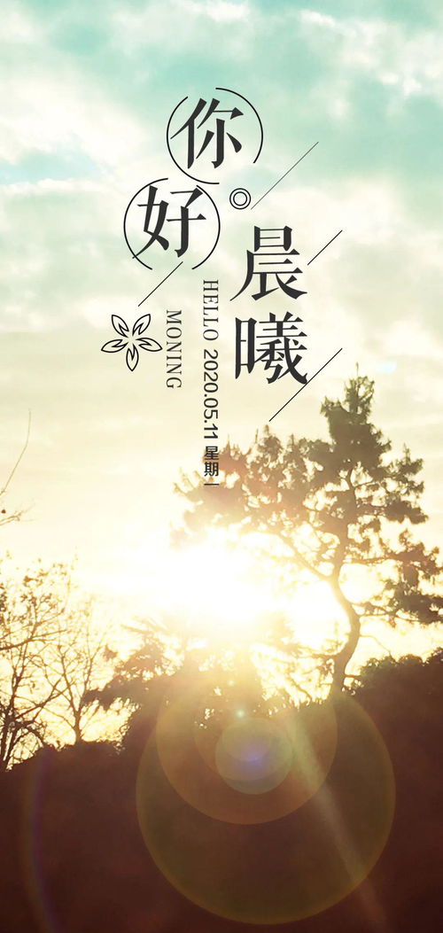 11月的正能量的句子