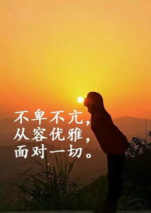 積極向上正能量的句子文章