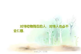 面對災難的正能量勵志句子,面對災難的正能量勵志句子英語(yǔ),面對壓力正能量的句子