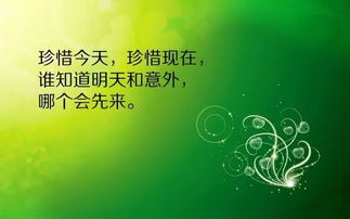有關(guān)風(fēng)的正能量句子