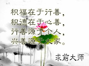 句子,能量,傳遞,社會