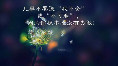 正能量句子正能量句子分享