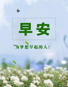 早晨充滿(mǎn)正能量的句子,早晨正能量勵志的句子,早晨分享正能量句子