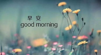 充滿(mǎn)正能量的精彩句子