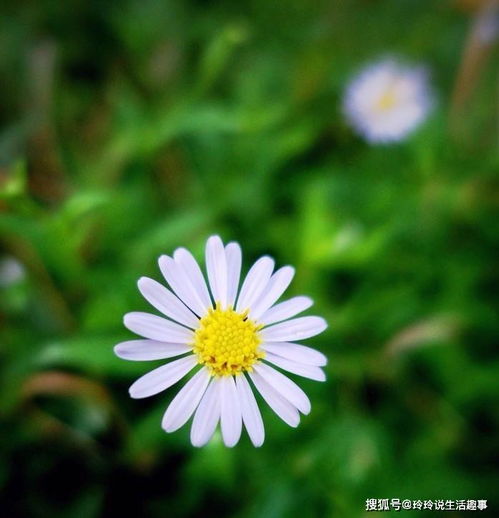 有深度有涵養(yǎng)的正能量句子,有深度正能量的句子經(jīng)典語句,有深度搞笑正能量句子