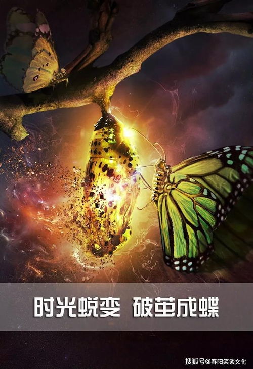致青春正能量的句子,積極向上的句子青春正能量生活,關(guān)于堅(jiān)持的正能量句子勵(lì)志簡短