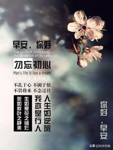 句子,能量,適合,大全