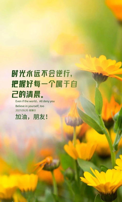 正能量的句子早安語(yǔ)錄人生感悟